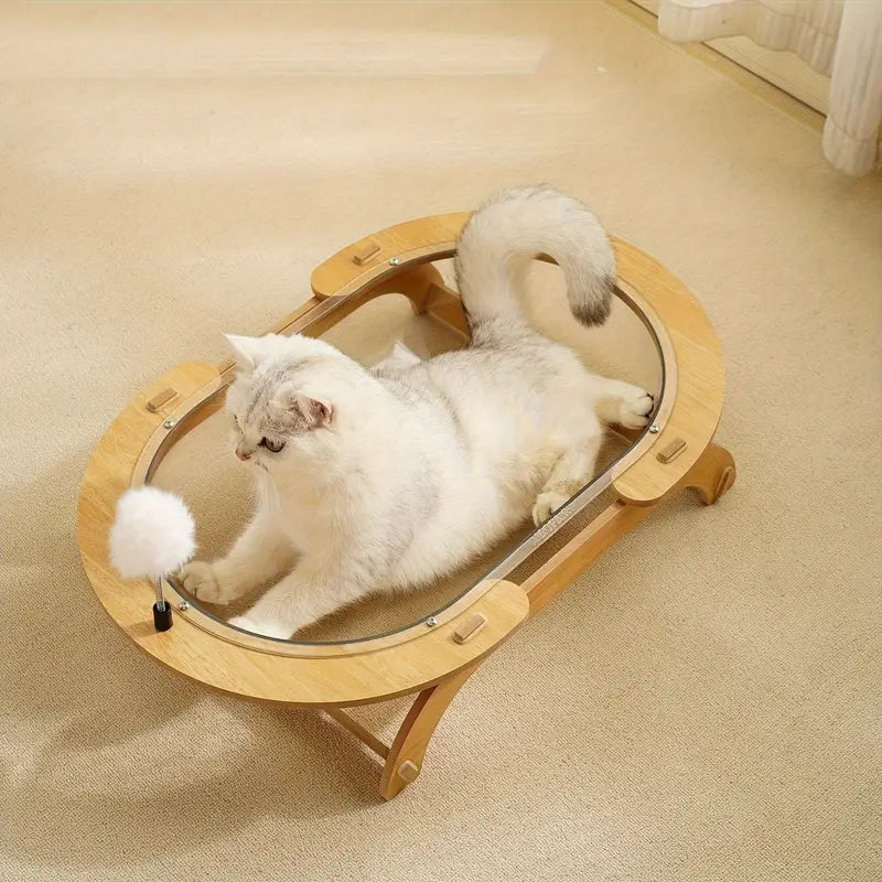 Cama transparente para gato